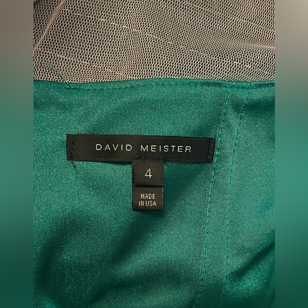 David Meister Green Illusion Neckline Mermaid Gown